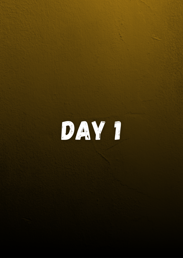 day 1