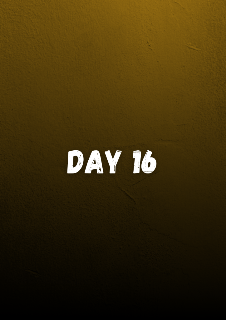 day 16