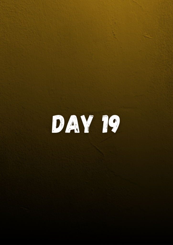 day 19