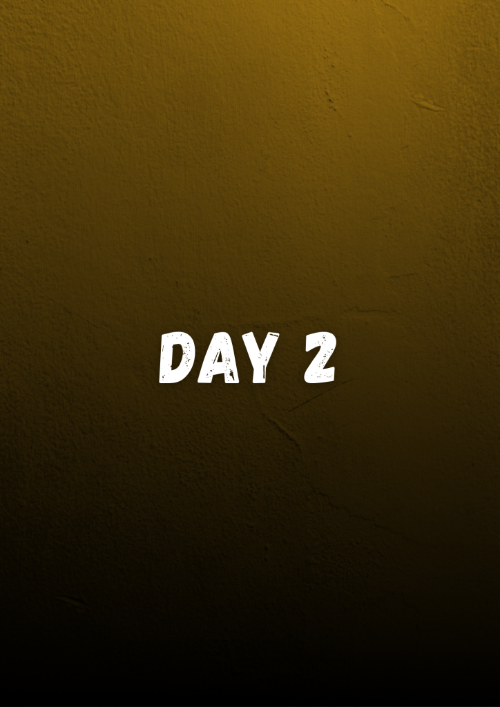 day 2