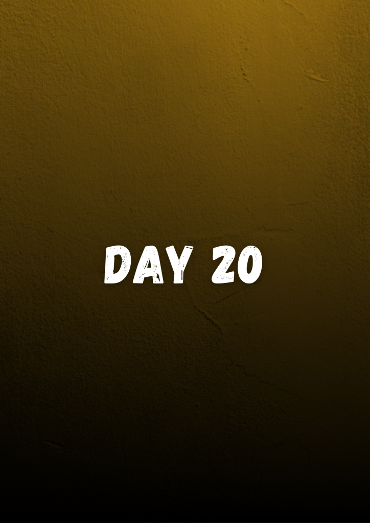 day 20