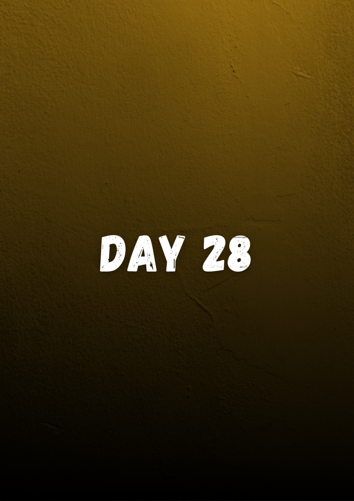 day 28
