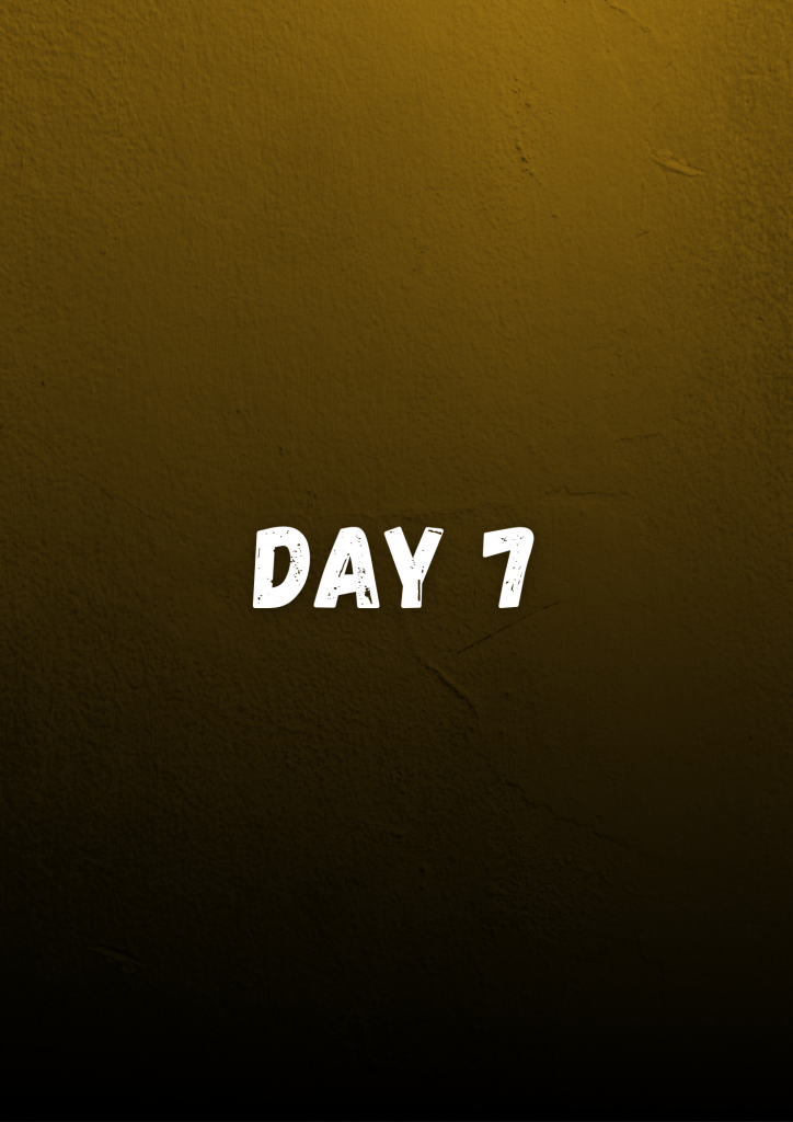 day 7
