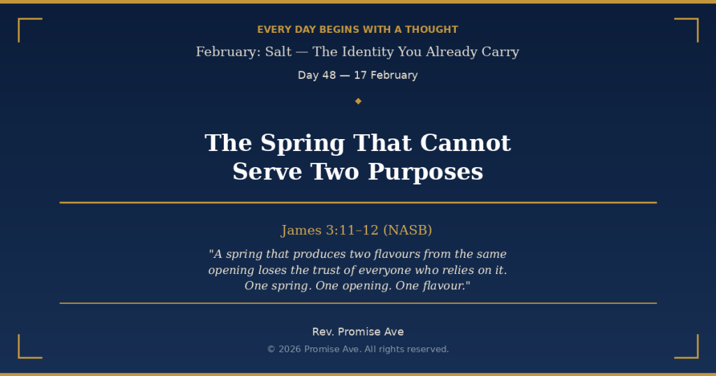 day48 17february thespringthatcannotservetwopurposes social