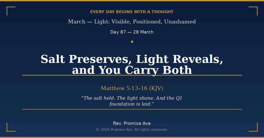 day87 28march saltpreserveslightrevealsandyoucarryboth social