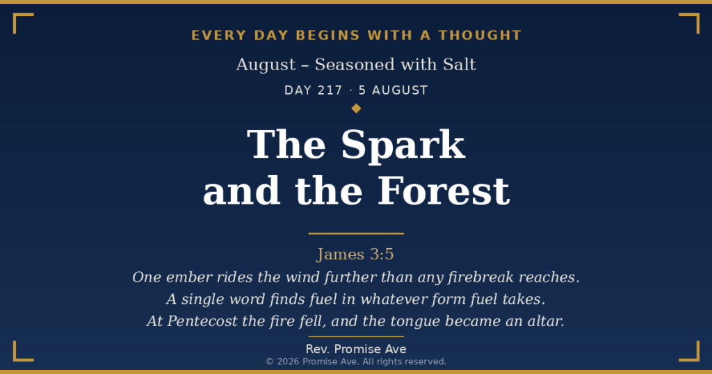 day217 5august the spark and the forest