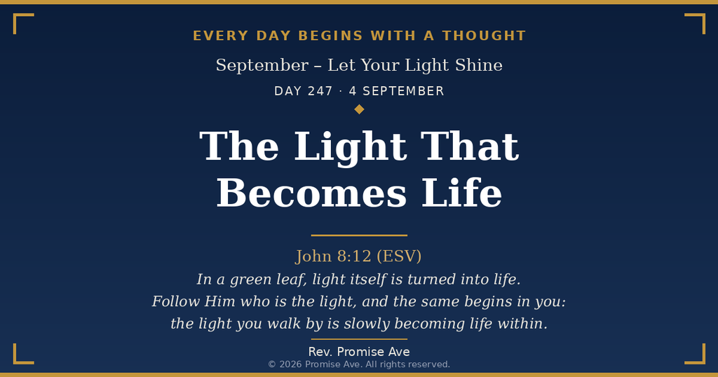 day247 4september the light that becomes life (1)