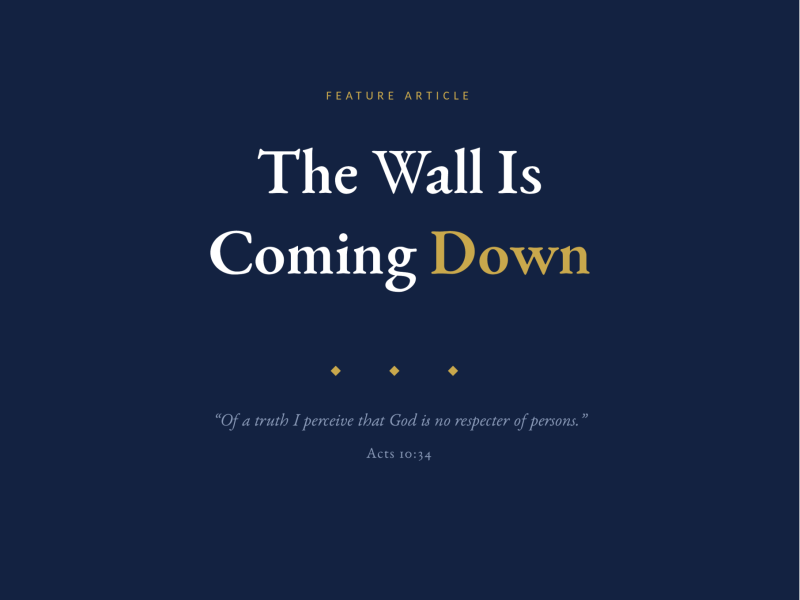 The Wall Is Coming Down (PDF)